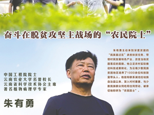 广告