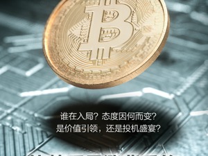 比特币暴涨背后的“巨鲸”