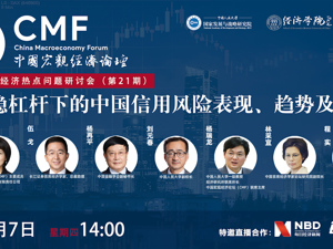 直播丨CMF宏观经济热点问题研讨会