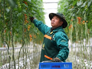 央行：完善绿色金融政策框架和激励机制 2021年央行工作会议近日召开，部署全年重点工作