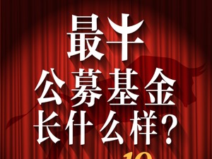 最牛公募基金长什么样？业绩至少赚十倍！拆解50只十倍基，最高已赚39倍