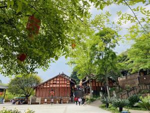 区县动态|文旅社区融合多场景，金堂打造古镇旅游新模式