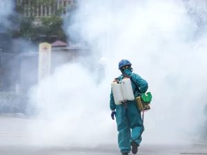 河北新增确诊81例，1例死亡！黑龙江新增43例，一列车发现5例感染者，途经20站