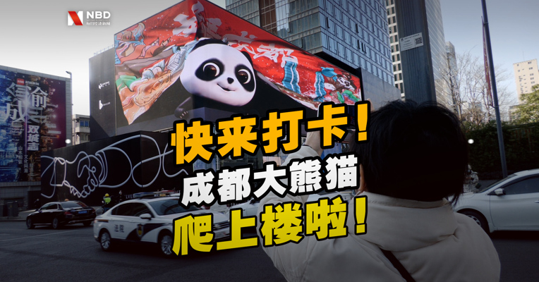 视频丨快来打卡！成都大熊猫又爬上楼啦！创意团队揭秘制作过程~