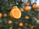 0118_____app_2__1_3156.thumb_hs