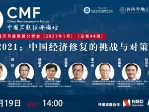 直播丨CMF宏观经济月度数据分析会——放眼2021：中国经济修复的挑战与对策