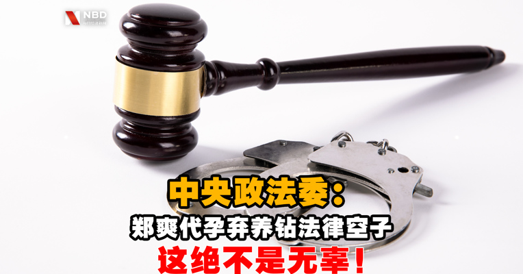  视频丨中央政法委评郑爽代孕弃养：钻法律空子，这绝不是无辜！