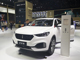 ____suv__wey_vv6____________.thumb_hs