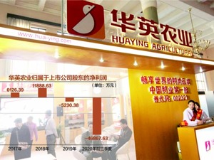华英农业官司缠身、主业不振“养鸭第一股”困境待解