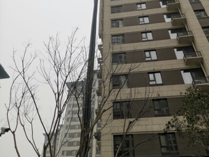 快讯| 西安一小区交房才3个月烟道爆炸 开发商：或系燃油燃烧不充分所致