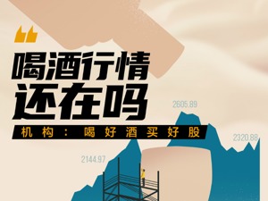 连跌两周后，白酒股卷土重来？估值已达历史高位 机构提醒“要喝好酒”