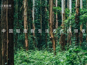 后疫情时代下的文旅之路 --探寻汉华文旅控股的创新模式