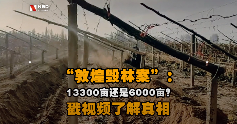 “敦煌毁林案”： 13300亩还是6000亩？戳视频了解真相