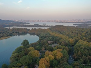 杭州开年甩出楼市调控“王炸”:新房中签率≤10%，5年内不得转让