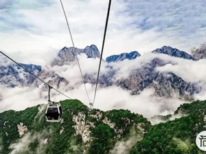 陕旅的上市“野心”能否如愿？