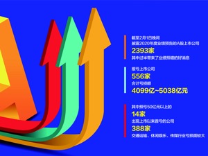 A股公司疫情年大考交卷：556只个股累计预亏超4000亿