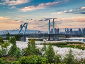 新春特辑〡地处关中、成渝两大城市群中间，陕南三市能借到什么？