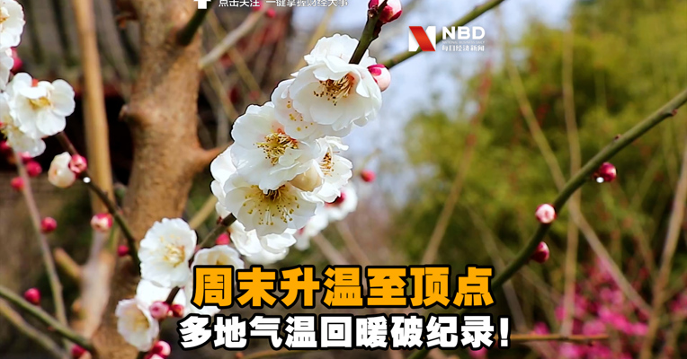 视频丨周末升温至顶点，多地气温回暖破纪录！