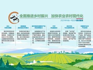 中央一号文件：加快农业农村现代化