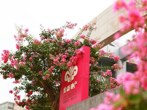 紫薇地产的“戏码”：提前画好框框，找世界500强开发草堂？