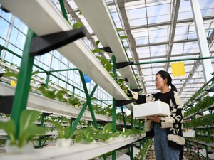 农业转基因产业化应用如何发展？农业农村部答每经问：自主创新、确保安全、严格监管