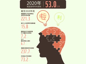 1年近5.9万件 中国国际专利申请量首次全球第一