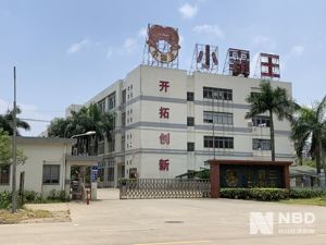 小霸王文化涉嫌非法集资被查！公司曾画下500亿上市“大饼”募资，近50名投资人已起诉追讨认购款