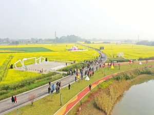 促进现代农业发展 成都邛崃举行首届天府田园油菜花节