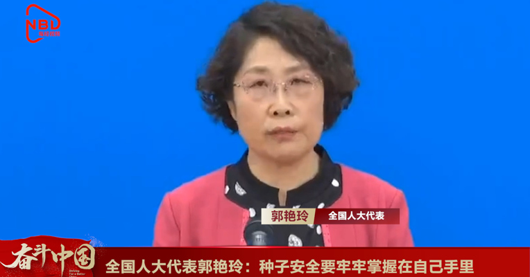 视频丨全国人大代表郭艳玲：种子安全要牢牢掌握在自己手里