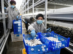 极不平凡的一年 载入史册的答卷——听代表委员谈成就、说感想、话奋斗