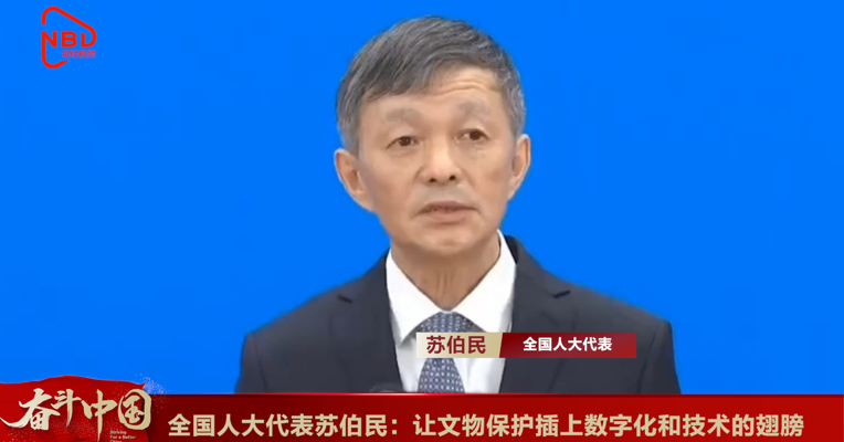 视频丨全国人大代表苏伯民：让文物保护插上数字化和技术的翅膀