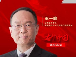 专访全国政协委员、中国国际经济交流中心副理事长王一鸣：推动消费回升要把稳就业放在优先位置