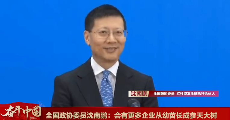 视频丨全国政协委员沈南鹏：会有更多企业从幼苗长成参天大树