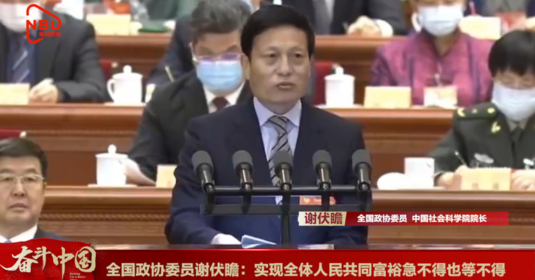 视频丨全国政协委员谢伏瞻：实现全体人民共同富裕急不得也等不得