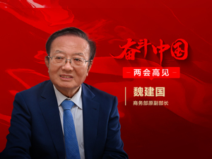 每经专访商务部原副部长魏建国：自贸协定等降低民企参与国际产业链分工门槛，企业家应抓住二次创业最好机会
