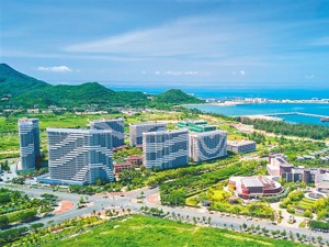 大手笔引进高校，海南正在“复制”深圳