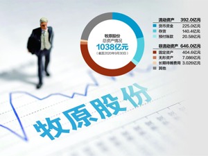 盖猪圈的人把钱挣饱了？ 牧原股份财务数据遭质疑