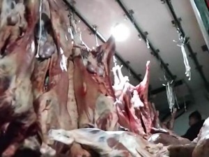 “瘦肉精羊”遭央视315晚会曝光！农业农村部连夜派出工作组，当地政府组织100多人的联合执法队全面排查