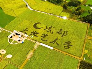 用最美镜头展示最美乡村 成都郫都摄影作品征选举行
