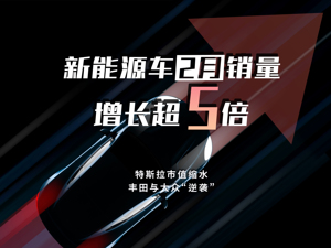 新能源车2月销量增长超5倍！特斯拉市值缩水，丰田与大众“逆袭”，“黄金赛道”上好戏开始上演！