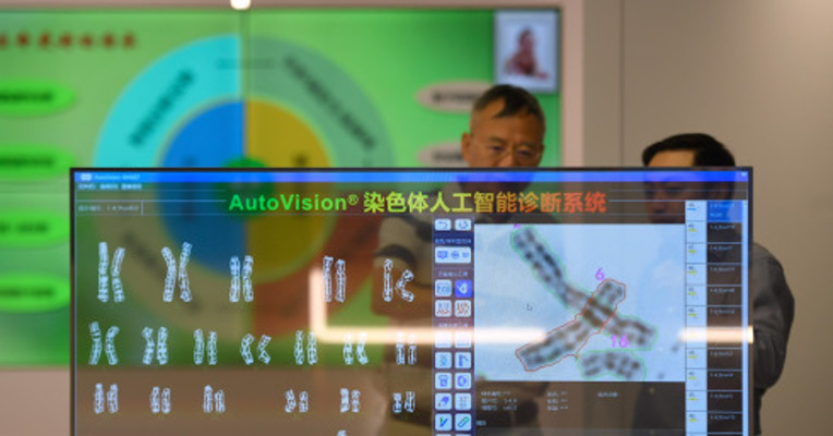 李稻葵：建议设立“数字经济发展与监管委员会”
