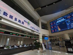 怎样进一步做好数字经济监管？李稻葵：建议设立数字经济发展与监管委员会