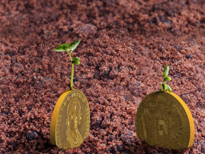 企业年金出成绩单了！2020年运作资产2.2万亿元，平均收益率10.31%