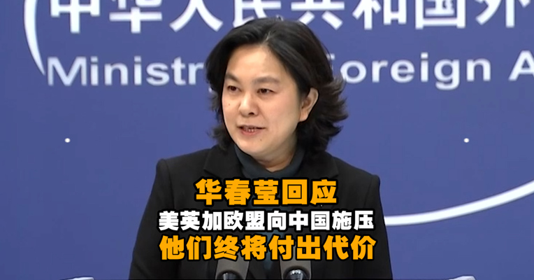 视频丨华春莹回应美英加欧盟向中国施压：他们终将为愚蠢和傲慢付出代价