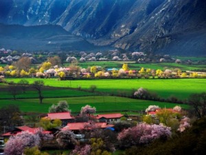 充分发挥资源优势  西藏旅游公司的破局之路