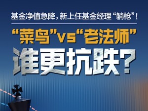 基金净值急降，新上任基金经理“躺枪”！“菜鸟”vs“老法师”谁更抗跌？
