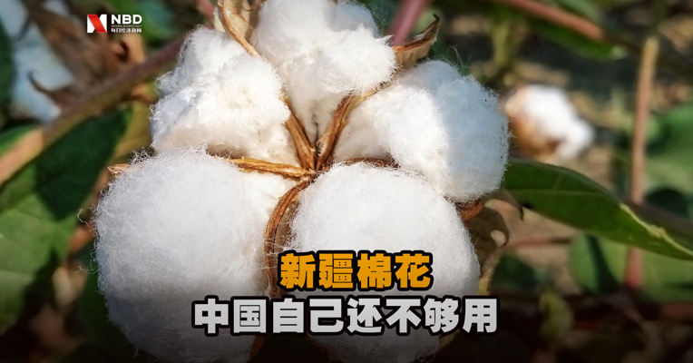 新疆棉花中国自己还不够用