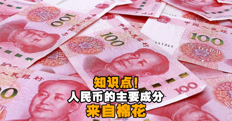 视频丨知识点！人民币的主要成分来自棉花