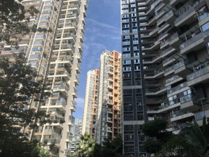 深圳网红盘打新遭遇“最严审核”：征信查询次数多、疑似炒房的都不能买！