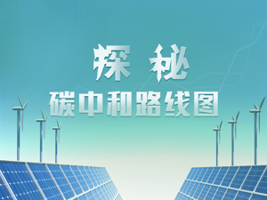 碳中和路线图将“三步走”，辨清五大误区，概念股遭疯炒，专家：其中一部分未来恐难存活